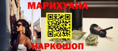 шишки Абакан