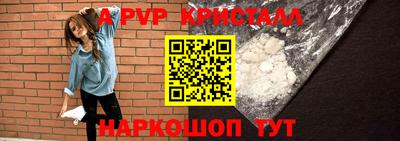 шишки Абакан