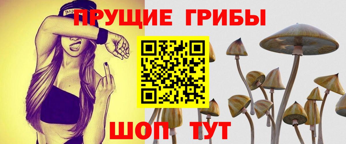 Галлюциногенные грибы Psilocybine cubensis  Вход с VPN  Апатиты 